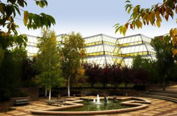 Galleria